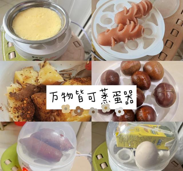 早餐机煮蛋器价格_蒸蛋器多功能用途_蒸蛋器宝宝辅食制作