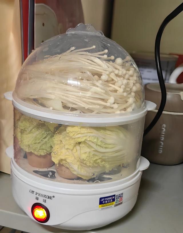 早餐机煮蛋器价格_蒸蛋器多功能用途_蒸蛋器宝宝辅食制作