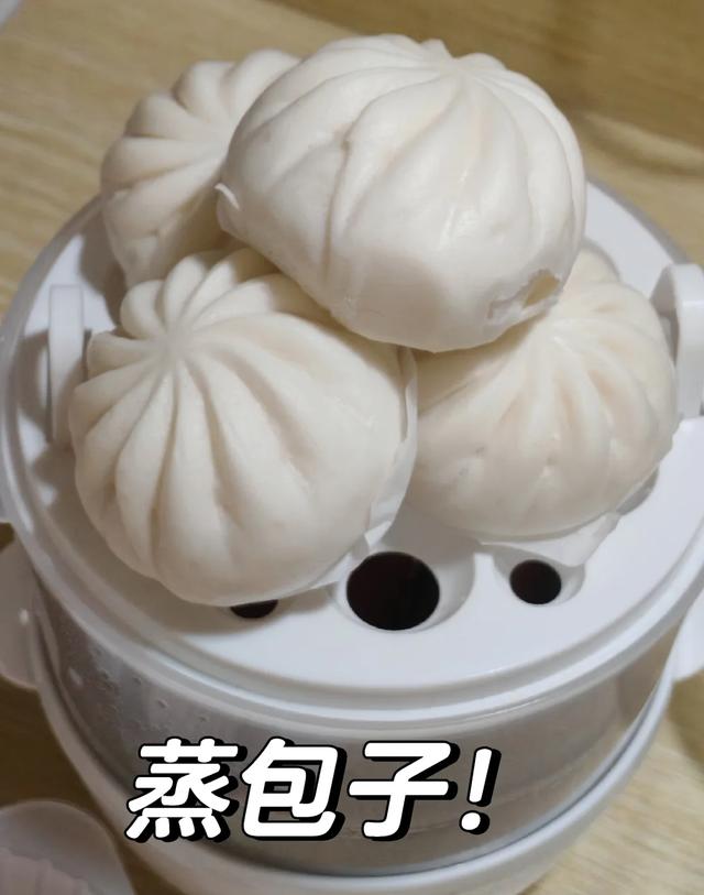 蒸蛋器多功能用途_蒸蛋器宝宝辅食制作_早餐机煮蛋器价格