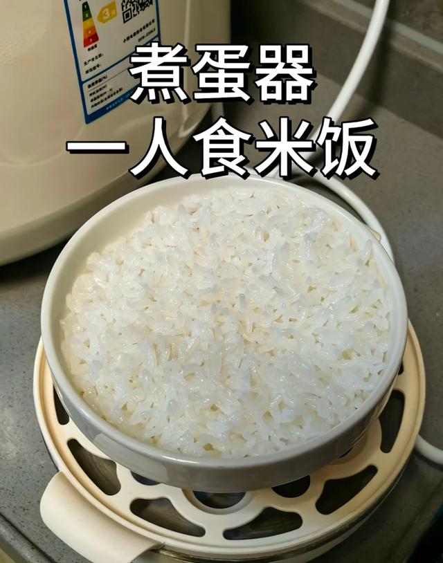 早餐机煮蛋器价格_蒸蛋器宝宝辅食制作_蒸蛋器多功能用途