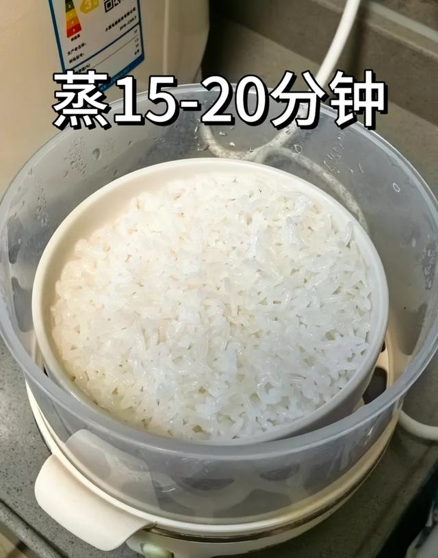 早餐机煮蛋器价格_蒸蛋器宝宝辅食制作_蒸蛋器多功能用途