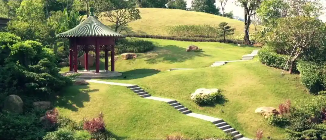 香港中文大学（深圳）认可度_深圳香港中文大学_港中深制度背景学位认可