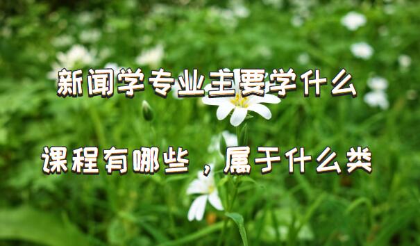 新闻学专业就业方向_新闻传播学专业课程_新闻学专业课程体系