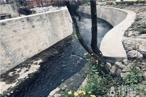 环境公益诉讼主体特征_环境公益诉讼条件规定_环境公益诉讼的特点类型 <a href="https://huanjingfa.cn">环境法</a>期末考试