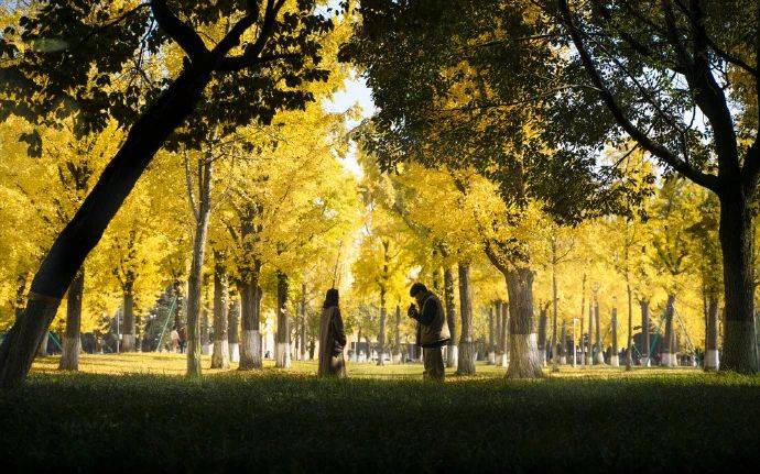 电子科技大学传播学_电子科技大学新闻传播学院_电子科技大学新传考研专业介绍