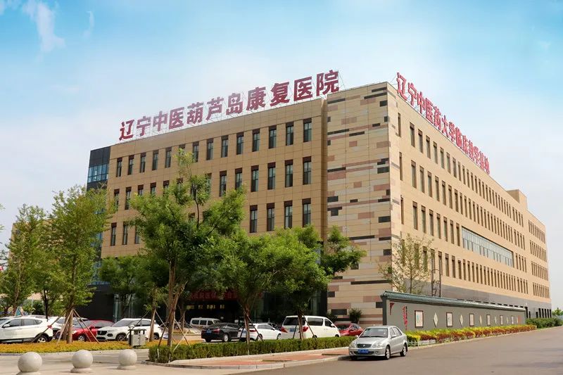 论述世界语言学发展的五大阶段_儿童语言功能发展_语言功能阶段划分