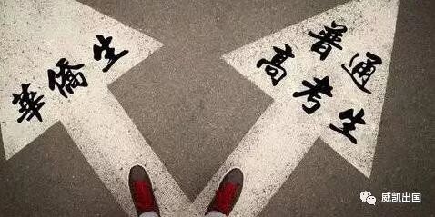 暨南大学华侨生联考报考条件_暨南大学港澳台侨招生计划_华侨生联考