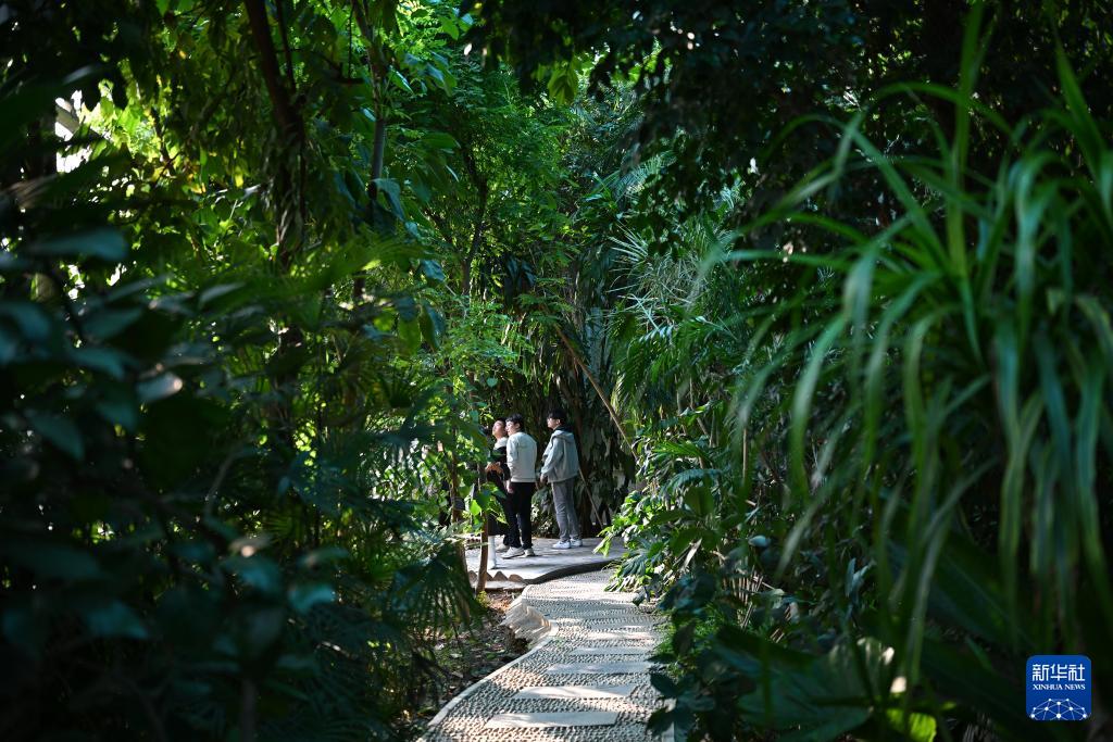 西北农林科技大学_西北农林科技大学博览园_昆虫博物馆