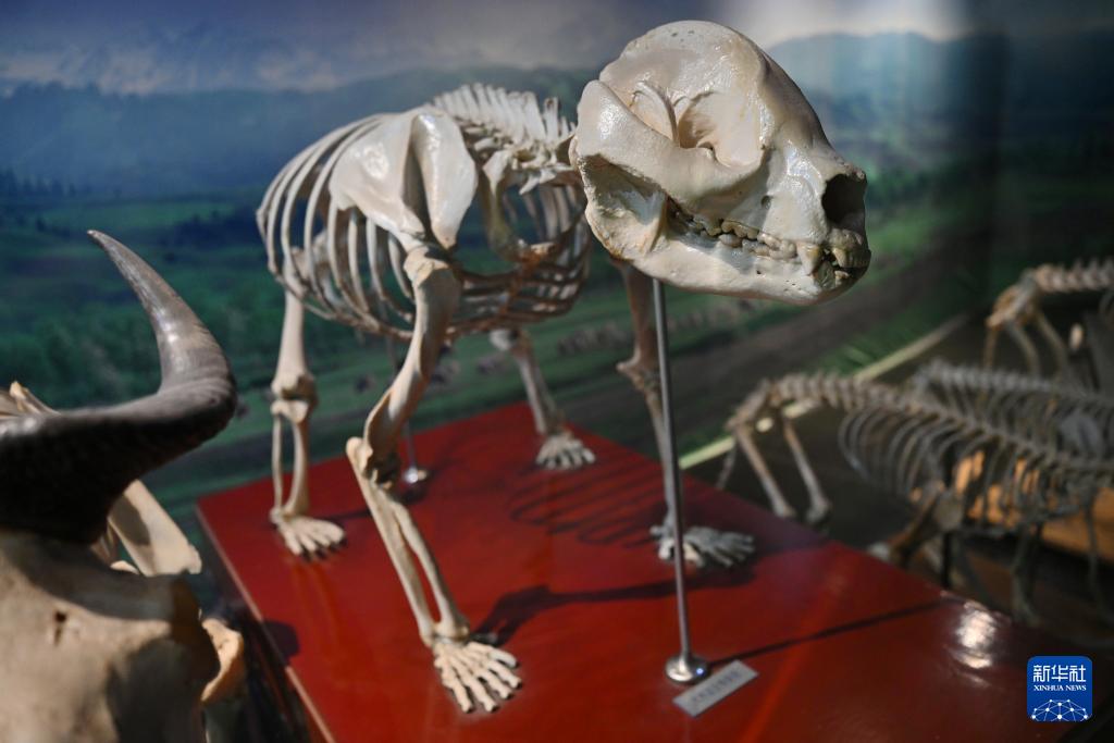 昆虫博物馆_西北农林科技大学_西北农林科技大学博览园