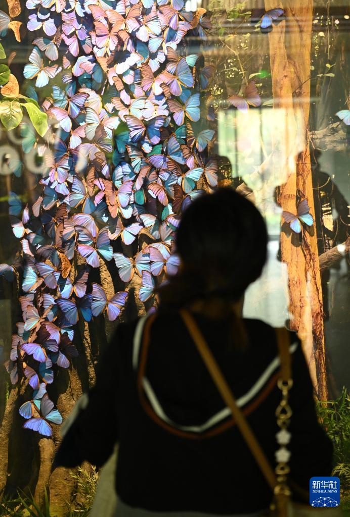 昆虫博物馆_西北农林科技大学博览园_西北农林科技大学