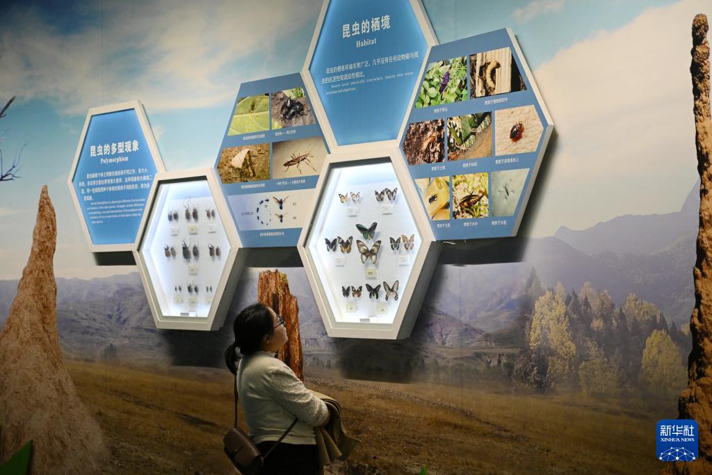 西北农林科技大学_昆虫博物馆_西北农林科技大学博览园