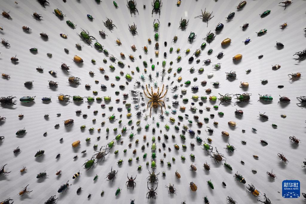 昆虫博物馆_西北农林科技大学博览园_西北农林科技大学