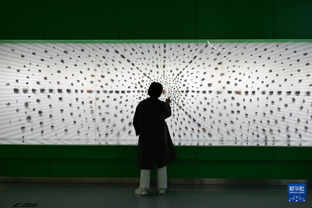 西北农林科技大学_昆虫博物馆_西北农林科技大学博览园