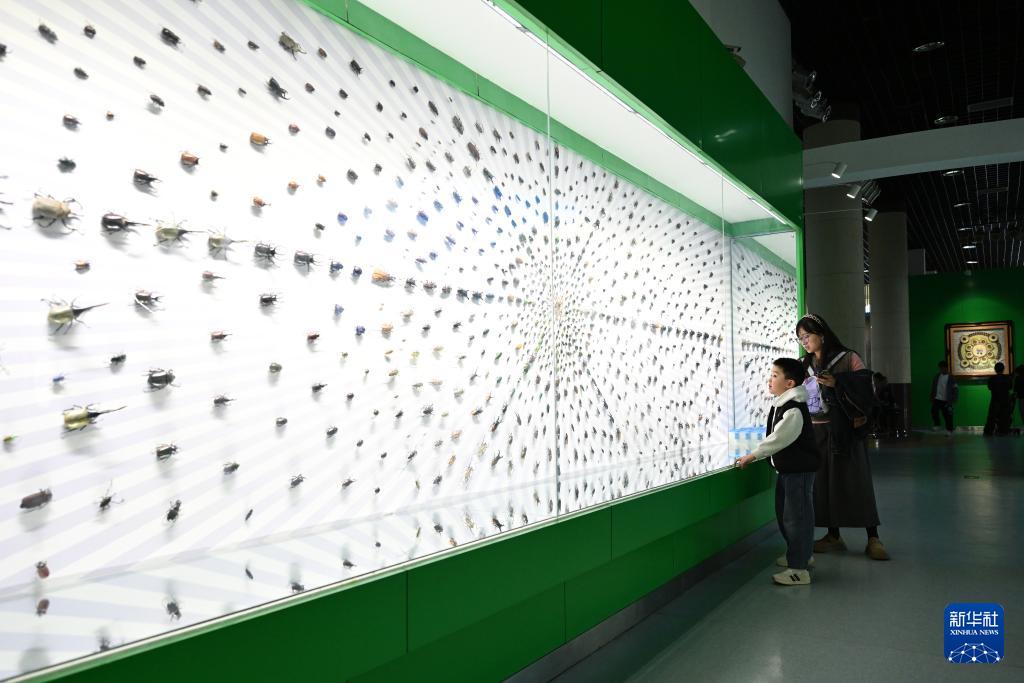 西北农林科技大学博览园_昆虫博物馆_西北农林科技大学