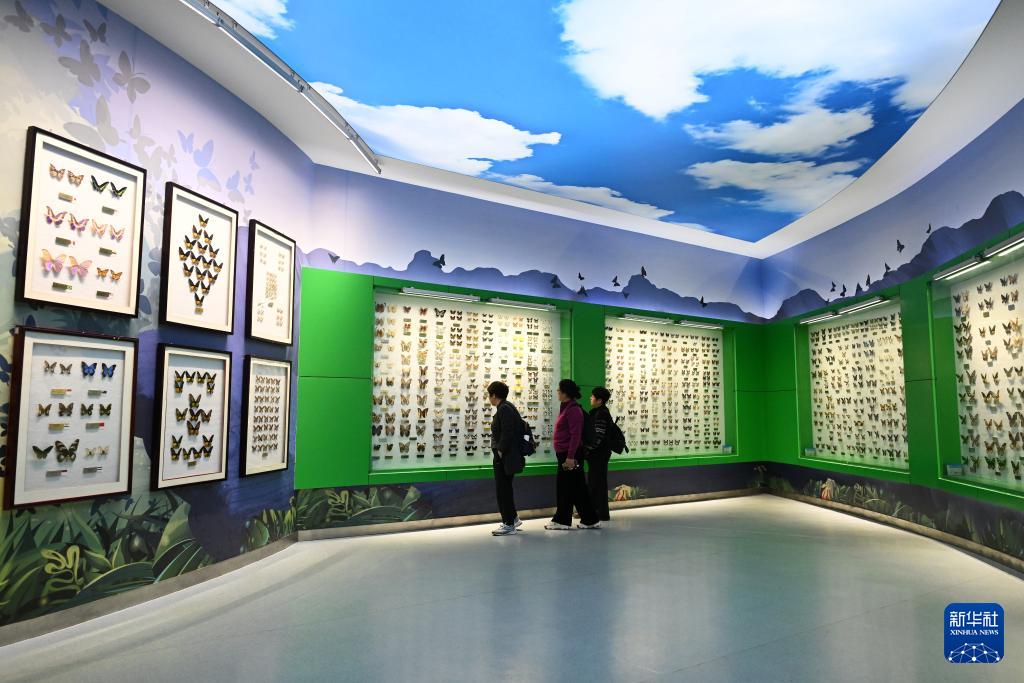 昆虫博物馆_西北农林科技大学_西北农林科技大学博览园