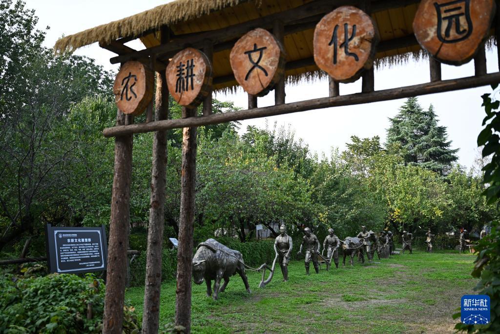 西北农林科技大学_西北农林科技大学博览园_昆虫博物馆