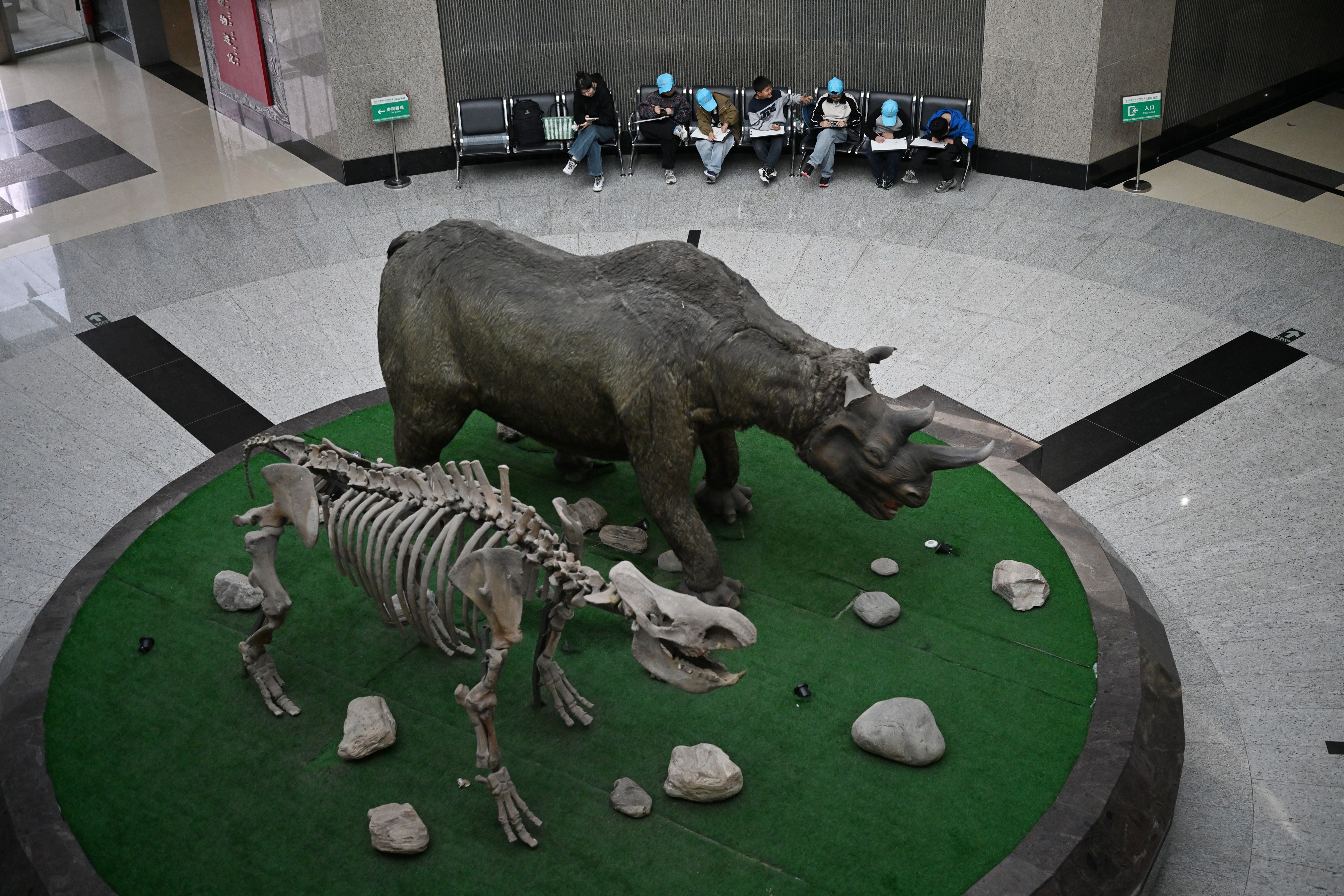 西北农林科技大学_西北农林科技大学博览园动物博物馆_西北农林科技大学博览园昆虫博物馆