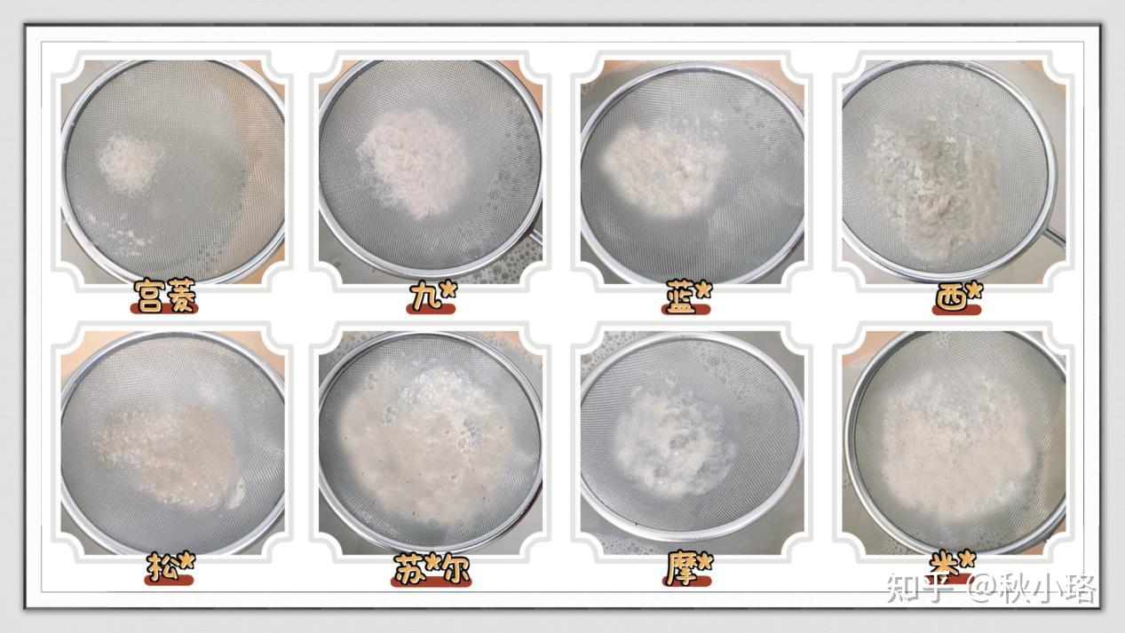 破壁机推荐2025_破壁机选购技巧_破壁机与料理机