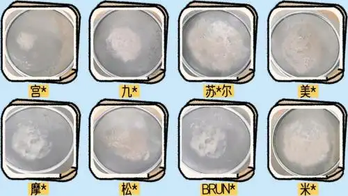 破壁机好吗_破壁机选购技巧_破壁机哪个好 2025推荐清单