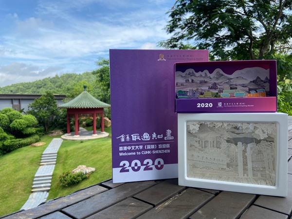 港中大深圳综合评价招生_港中大深圳_港中大深圳录取分数线