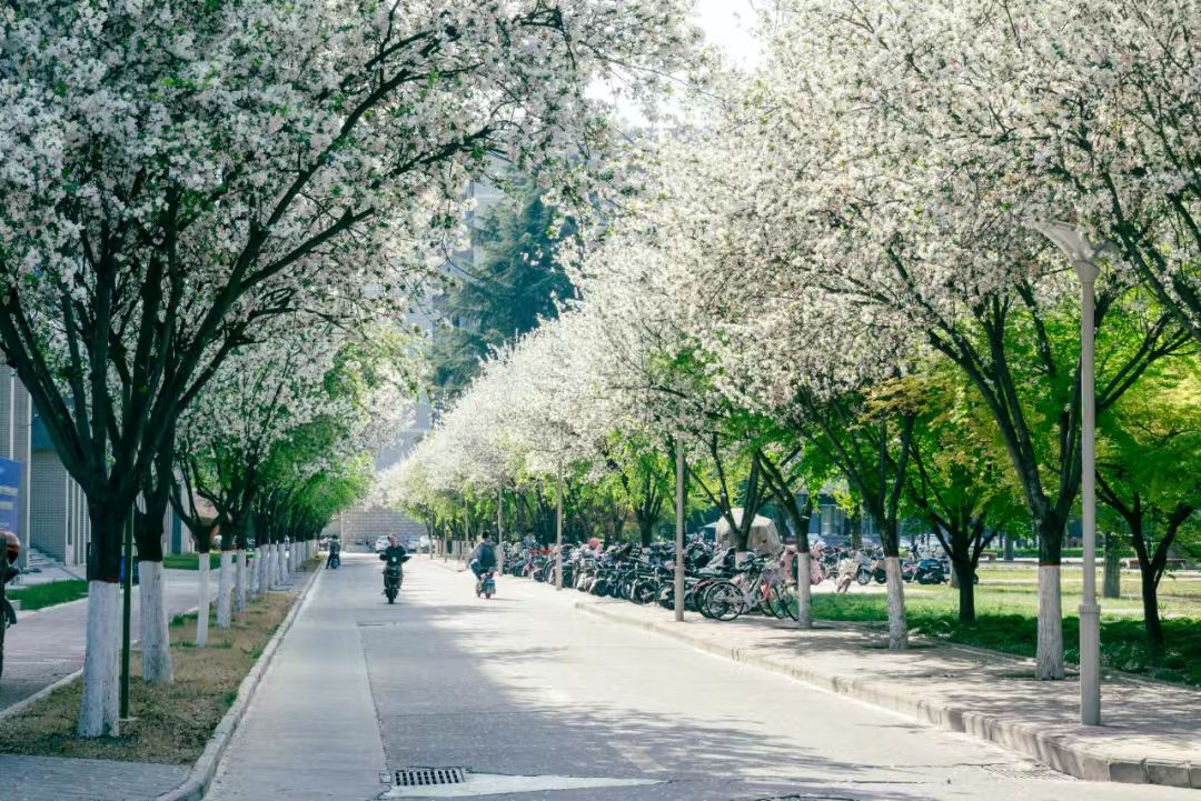 动物科学国家一流专业_西北农林科技大学动物科技学院_西北农林科技大学