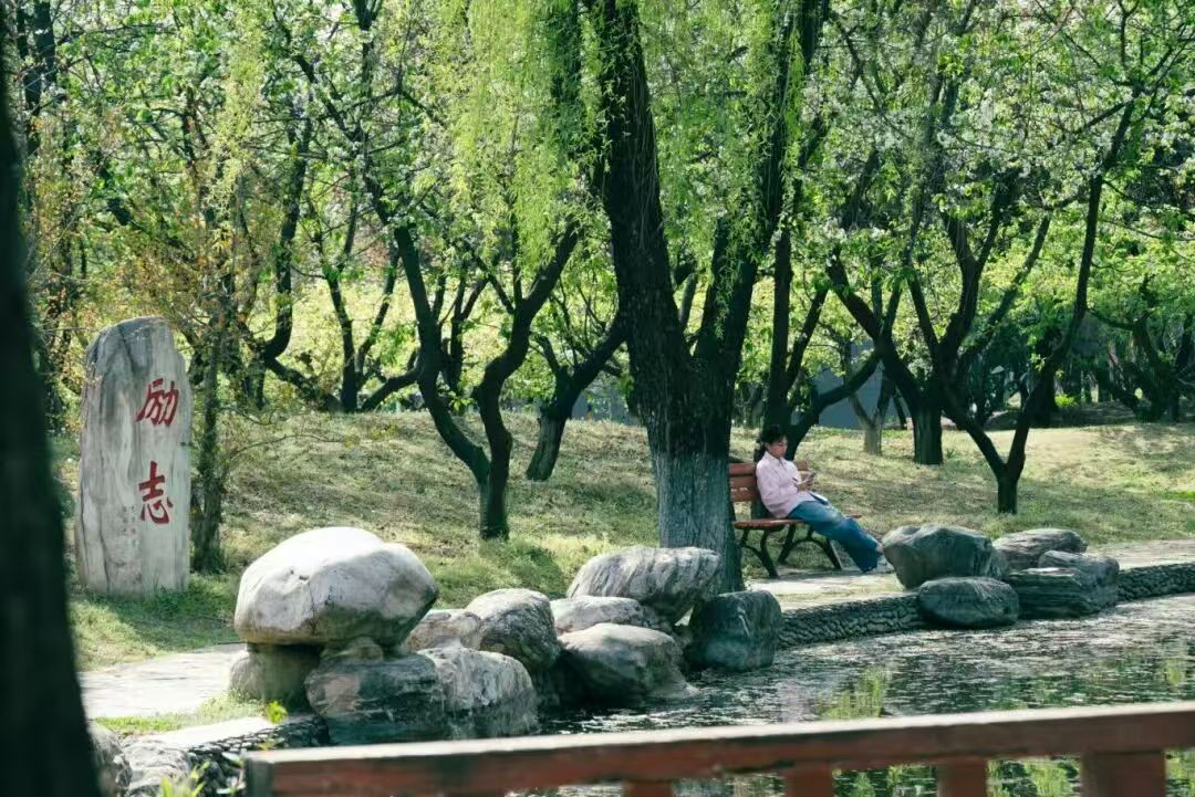 西北农林科技大学动物科技学院_动物科学国家一流专业_西北农林科技大学