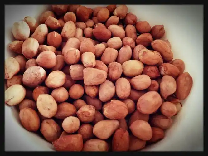 芝麻糊食材搭配_破壁机制作芝麻糊_破壁机芝麻糊的做法