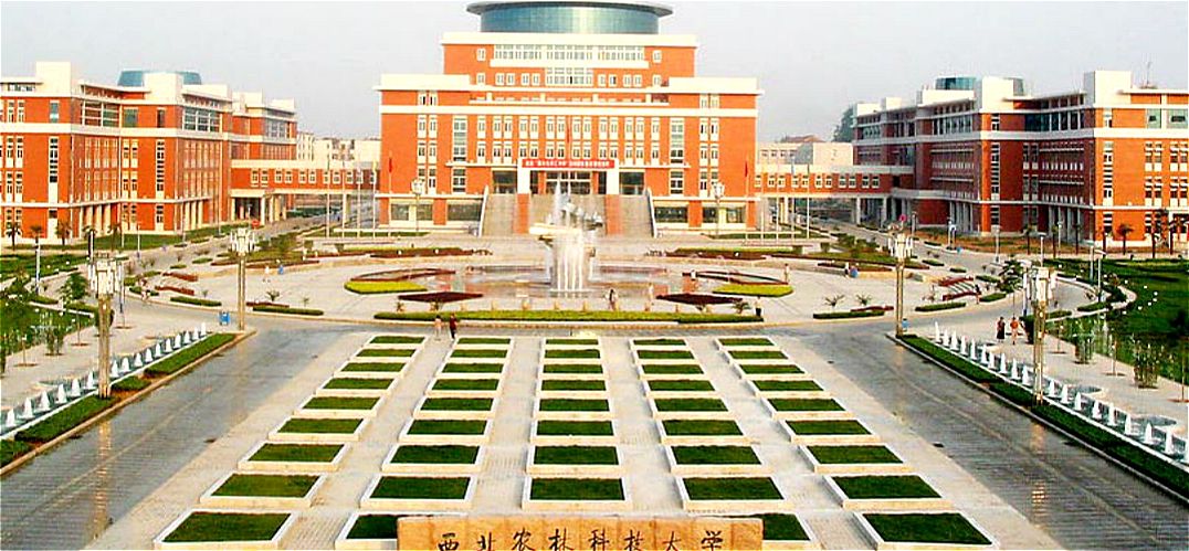 西北农林科技大学985工程大学_西北农林科技大学211工程大学_西北农林科技大学