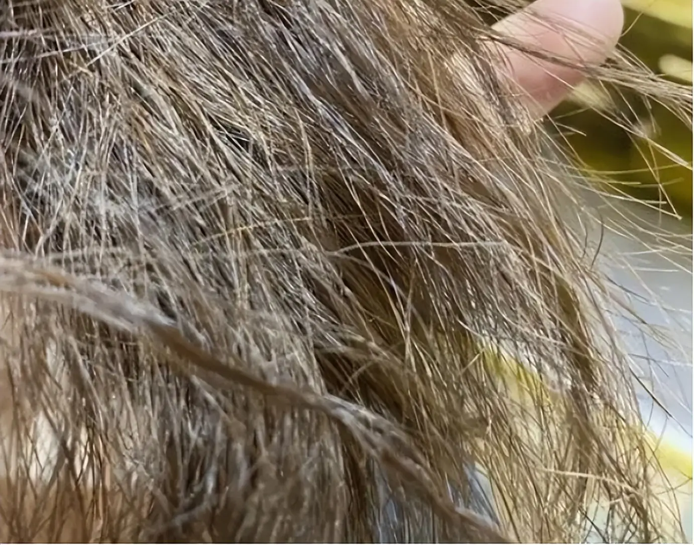 哪个牌子的卷发棒好_优质直卷发棒选购指南_卷发棒哪个牌子好