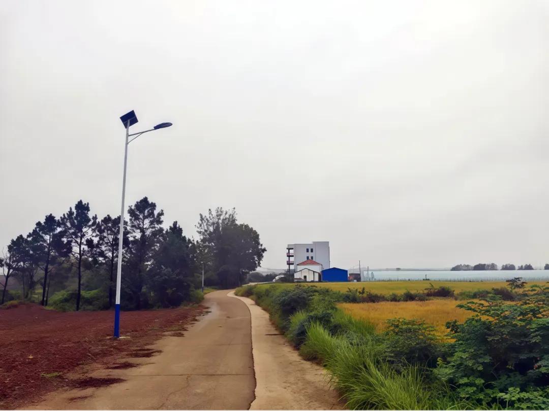 太阳能路灯安装_一事一议_乡村振兴_大路灯怎么安装