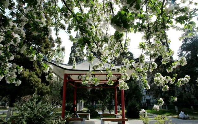 北京外国语大学校友_北外语言学科实力排名_北京外国语大学外交官培养