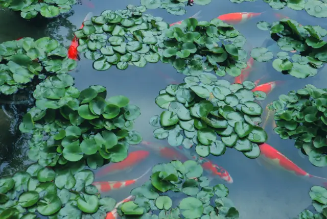 北京外国语大学外交官培养_北外语言学科实力排名_北京外国语大学校友