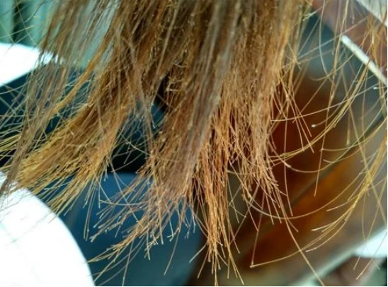 卷发棒品牌排名2024_直卷发棒选购指南_两用卷发棒什么牌子好