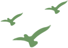 华侨生联考是什么_华侨生联考_华侨生联考资格条件