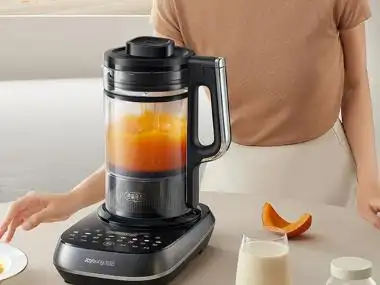 破壁机哪个牌子好 排行榜 十大品牌_破壁机哪个牌子好