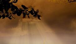 紧急避孕药一年使用次数限制_月经不调女性避孕药使用禁忌_避孕贴跟避孕药