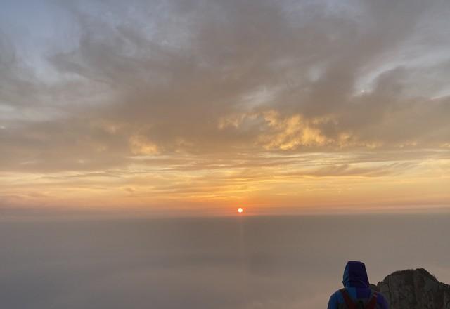 手机偷时间_专注力训练_番茄钟软件 pc