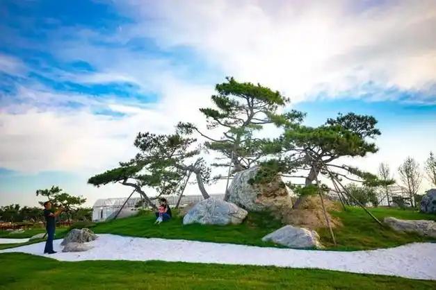 灯光设备发展与挑战_舞台灯光配置重要性_舞台灯排列