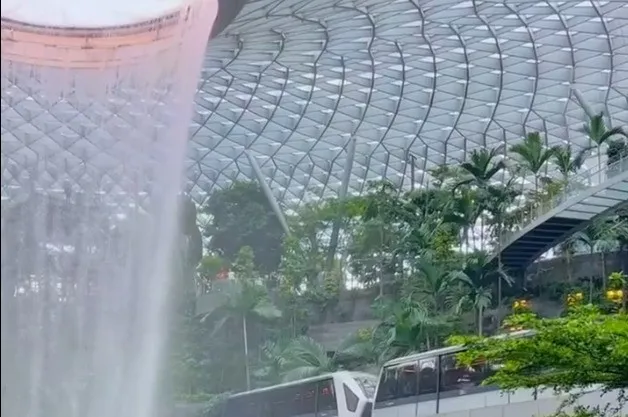 新加坡国立大学语言学专业排名_南洋理工大学语言学专业优势_2025外国语言学与应用语言学 排名