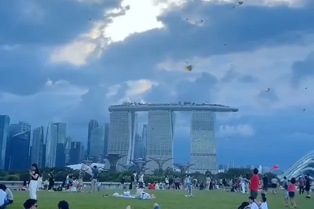 2025外国语言学与应用语言学 排名_新加坡国立大学语言学专业排名_南洋理工大学语言学专业优势