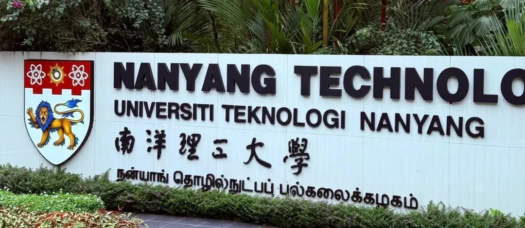 2025外国语言学与应用语言学 排名_南洋理工大学语言学专业优势_新加坡国立大学语言学专业排名