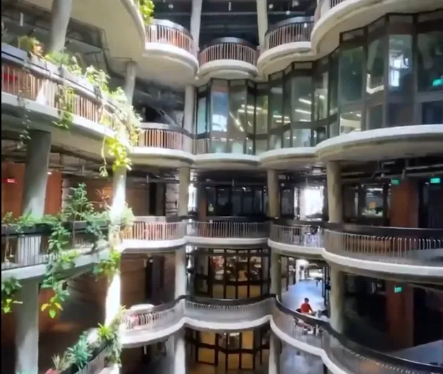 2025外国语言学与应用语言学 排名_新加坡国立大学语言学专业排名_南洋理工大学语言学专业优势