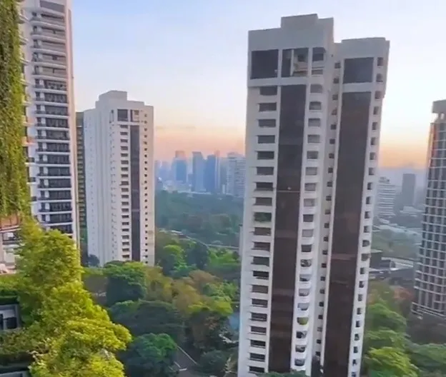 南洋理工大学语言学专业优势_新加坡国立大学语言学专业排名_2025外国语言学与应用语言学 排名