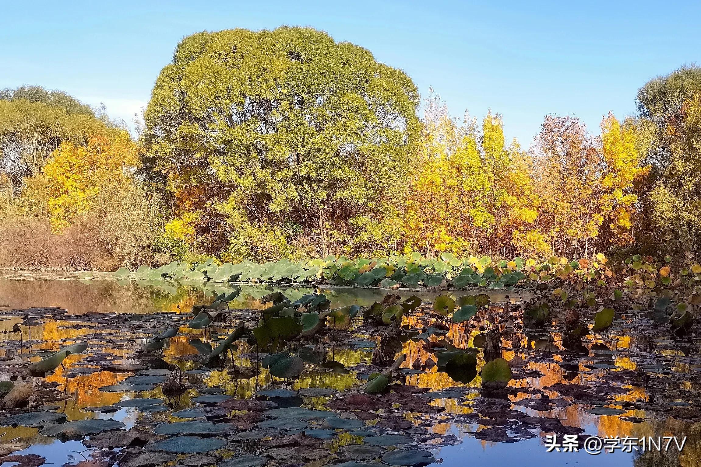 创业失败后如何调整心态_创业失败后心态调整方法_创业失败之后