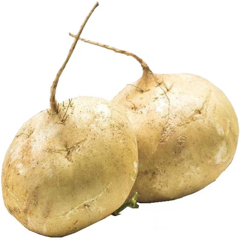 农业科研实力_西北农林科技大学_西北农林科技大学优势