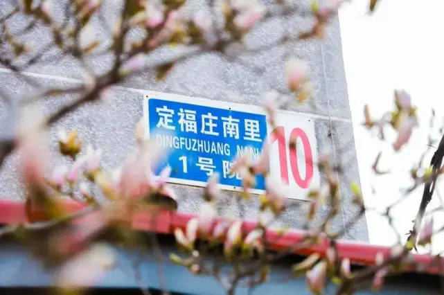 北京第二外国语学院特色专业_北京外国语学院毕业_北京第二外国语学院优势学科