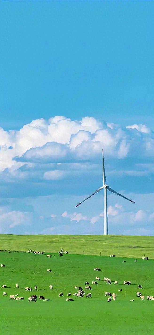 pc版番茄钟_打工人必备效率工具_免费效率神器