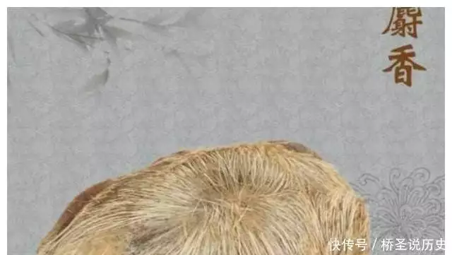 避孕贴怎么用_古代后宫避孕方法_麝香避孕效果