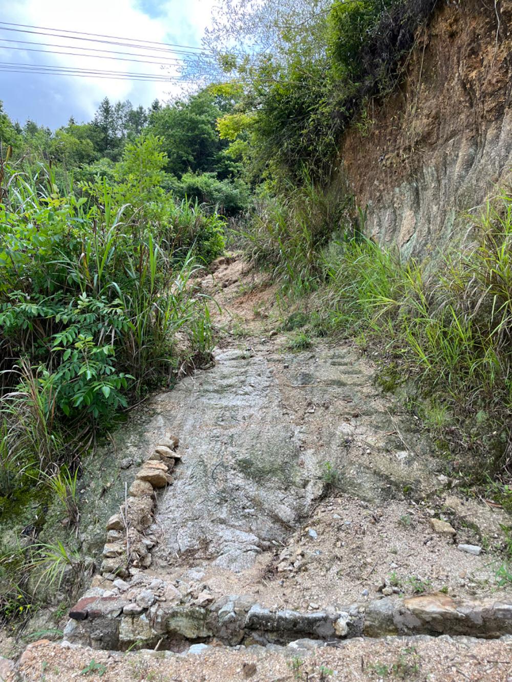 新闻学专业是“天坑专业”吗_新闻传播学是什么_新闻无学争议