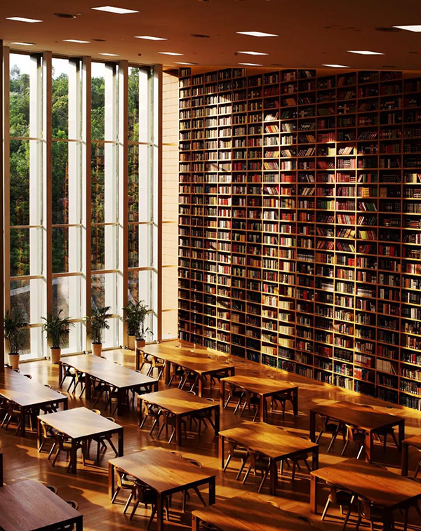 港中文深圳_香港中文大学（深圳）招生计划_香港中文大学（深圳）招生专业